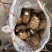山东芋头大量上市中品种8520欢迎大家采购