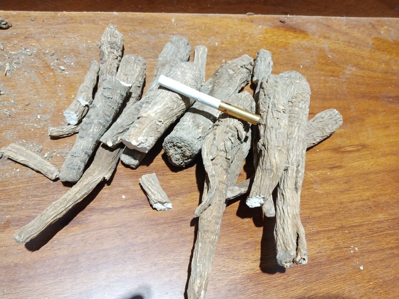 白芷，种子，出芽率%95，签订合同。诚信经营！