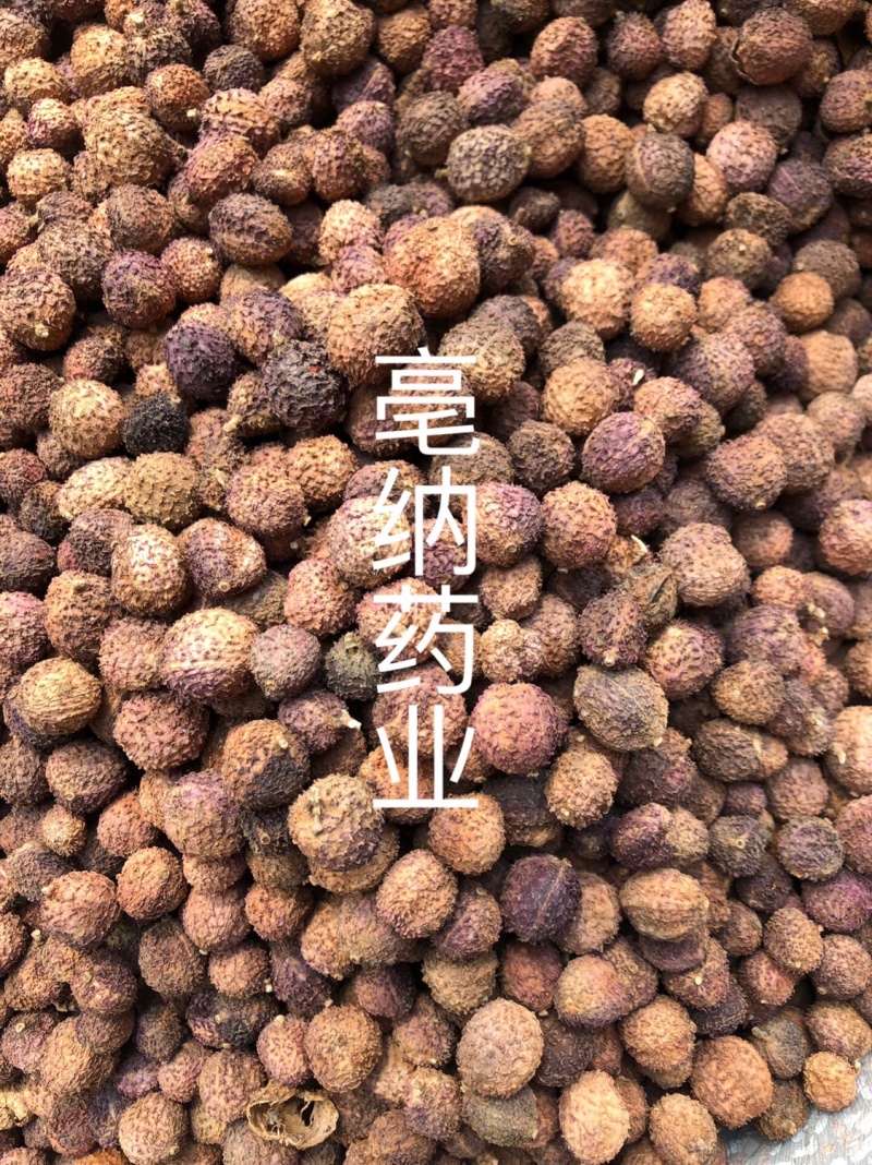阳春砂一公斤起批国产砂仁壳砂仁大货批发