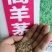 高羊茅种子绿化专用护坡草种子草籽低矮耐践踏草籽草种