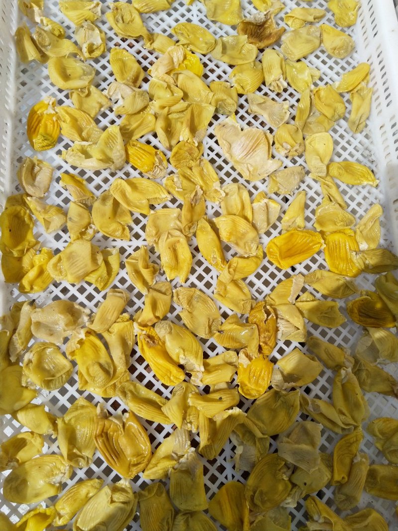 鸡内金
