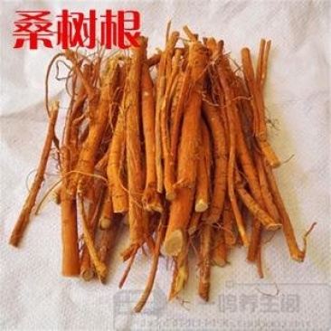 桑树枝，桑树根，皮
