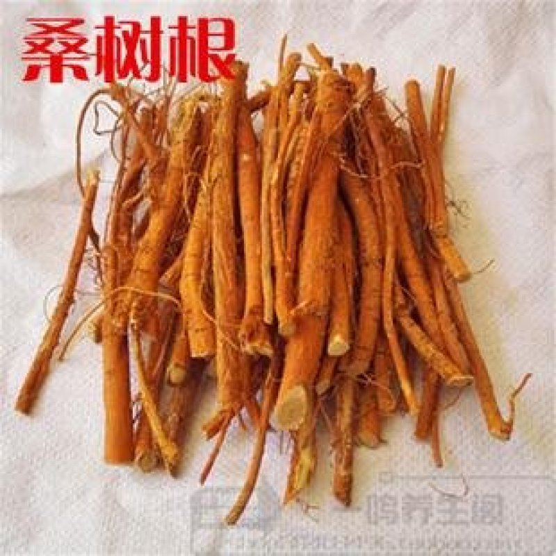 桑树枝，桑树根，皮