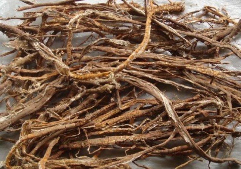 桑树枝，桑树根，皮
