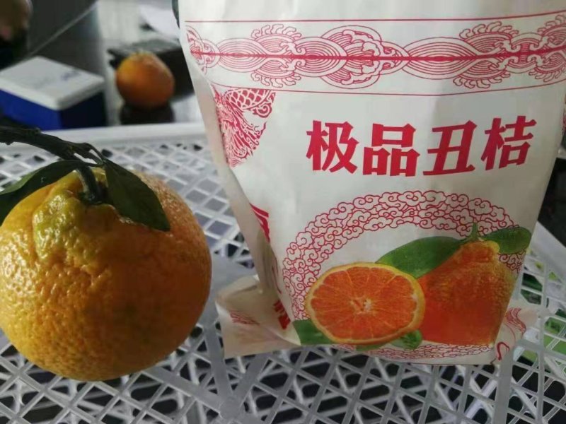 《云南》丑桔耙耙柑产地直发量大从优/对接商超平台整车发货