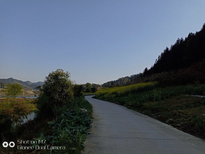 农家小院租售