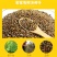 中药材决明子茶