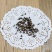 中药材决明子茶