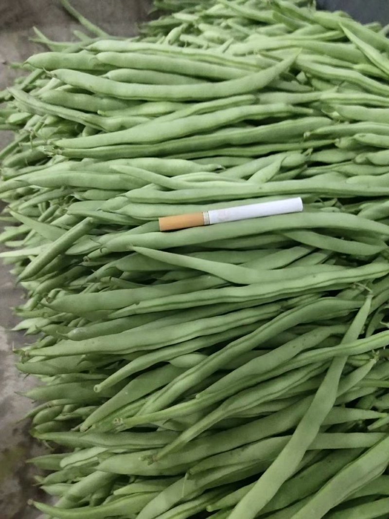小金豆