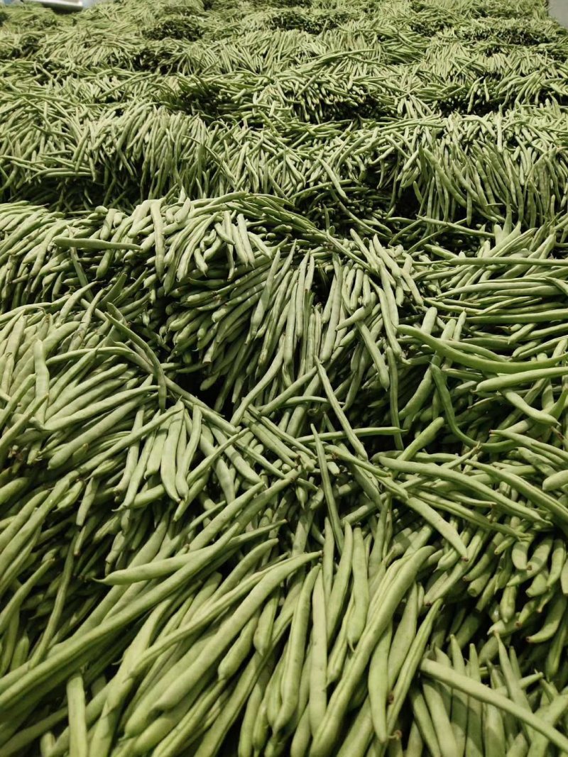 小金豆