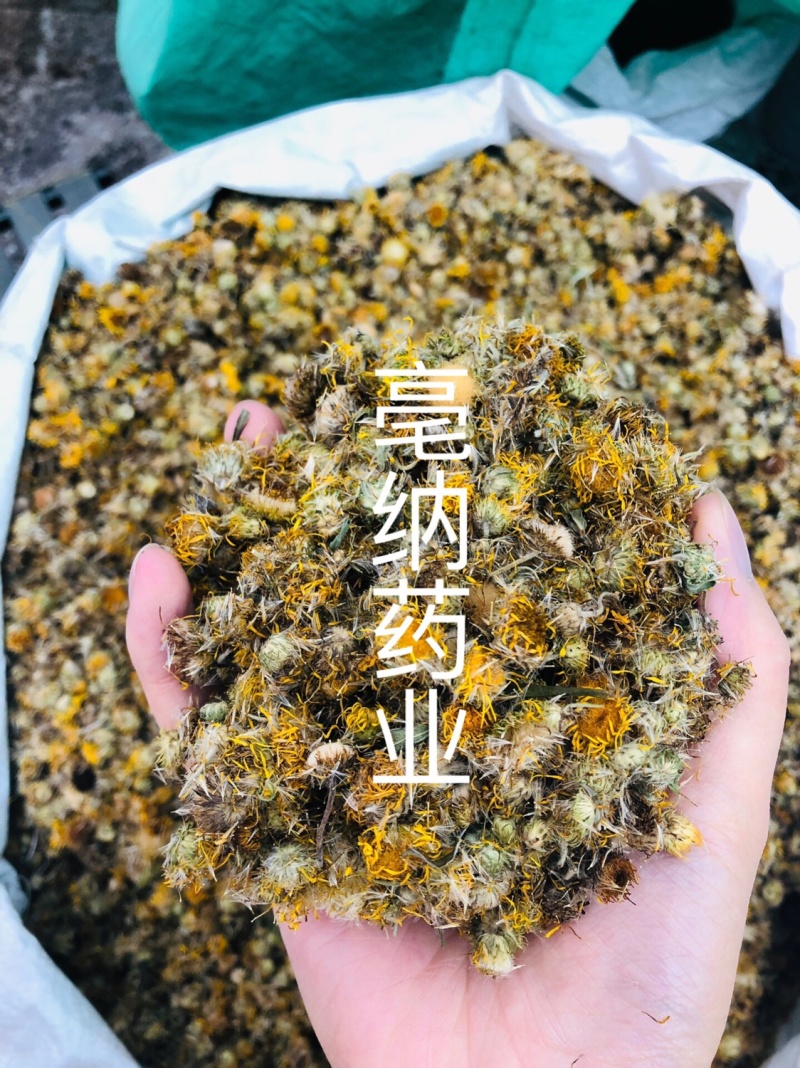 旋复花旋覆花一公斤起批大货批发