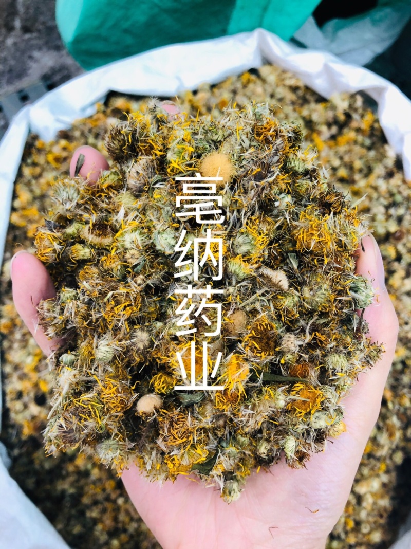 旋复花旋覆花一公斤起批大货批发