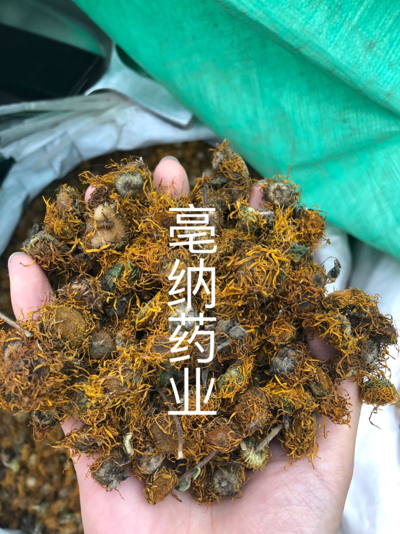 旋复花旋覆花一公斤起批大货批发