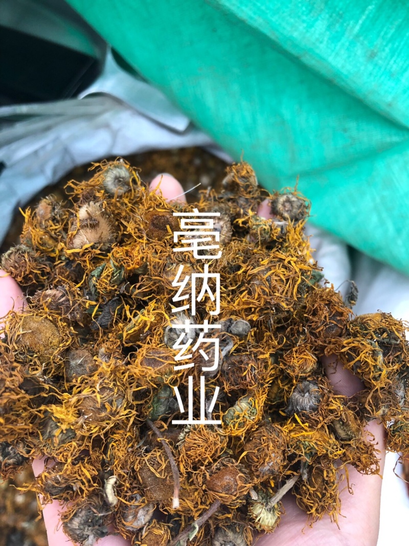 旋复花旋覆花一公斤起批大货批发