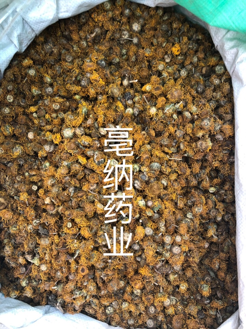 旋复花旋覆花一公斤起批大货批发