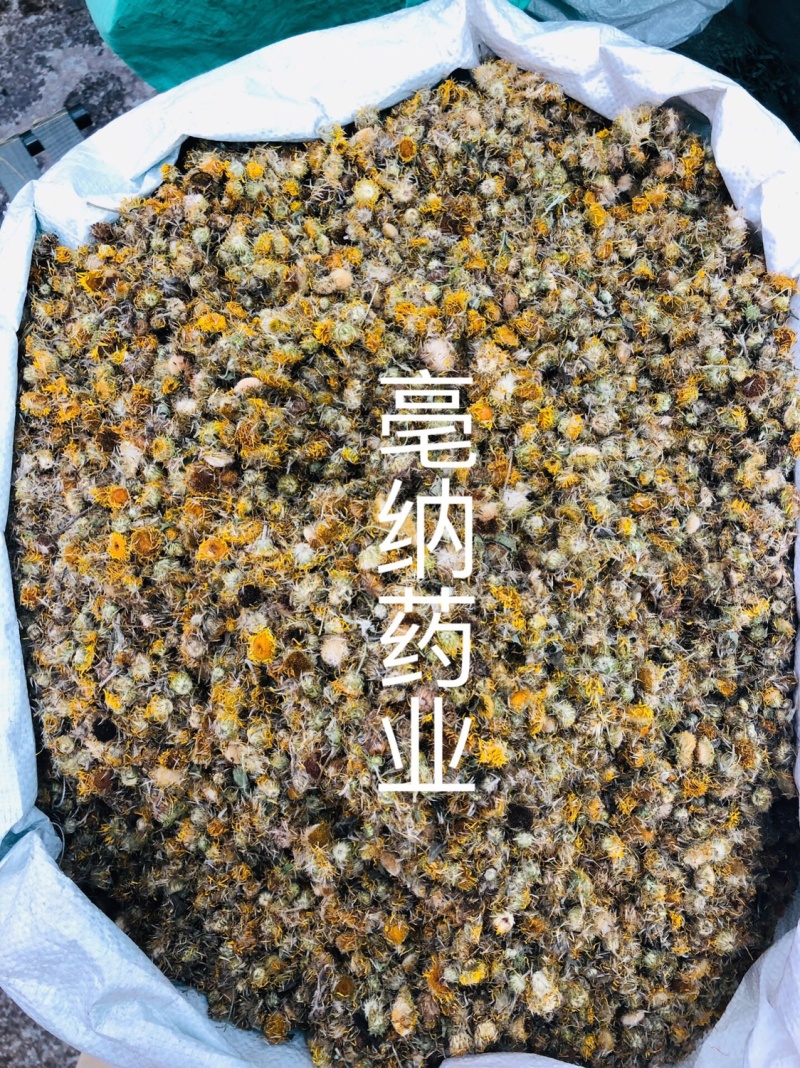 旋复花旋覆花一公斤起批大货批发