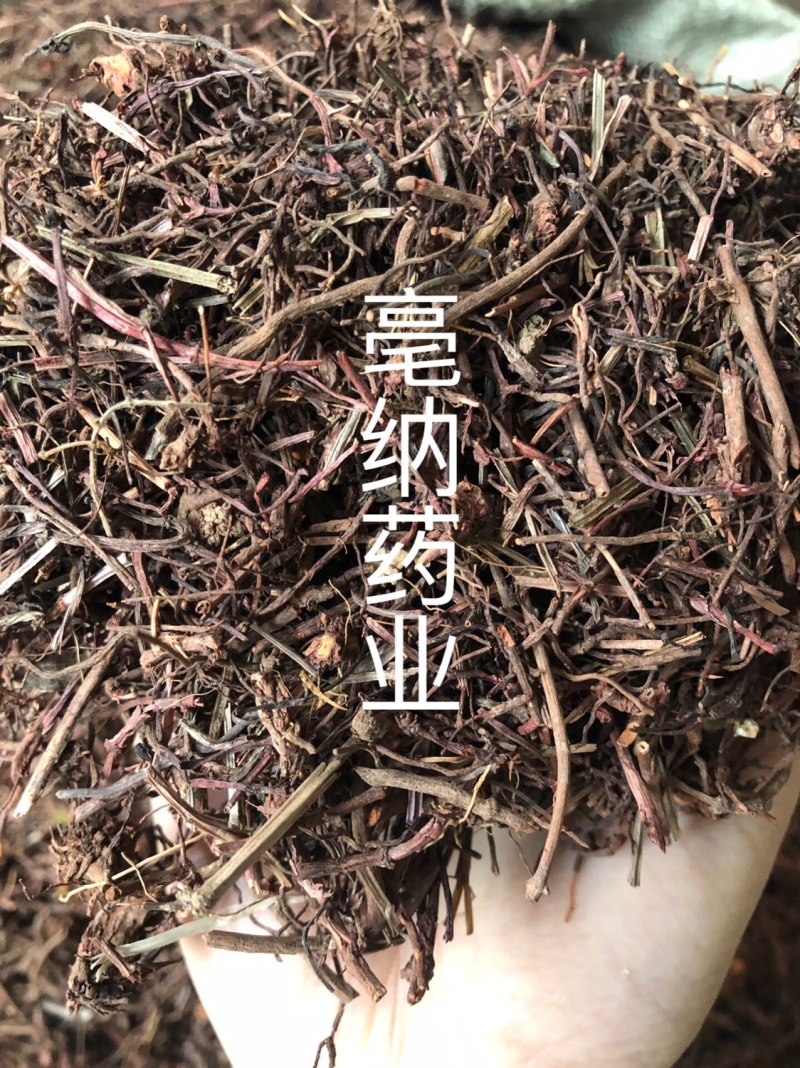 茜草一公斤起批大货批发