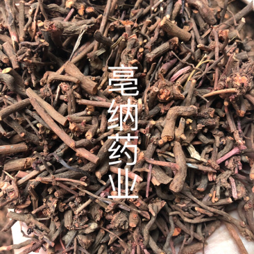 茜草一公斤起批大货批发