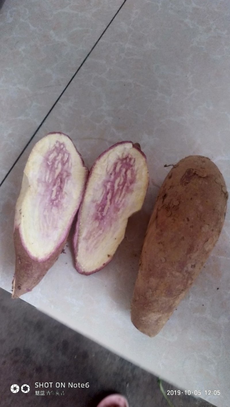 一点红，紫红署