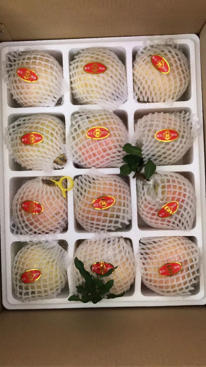 临潼甜石榴