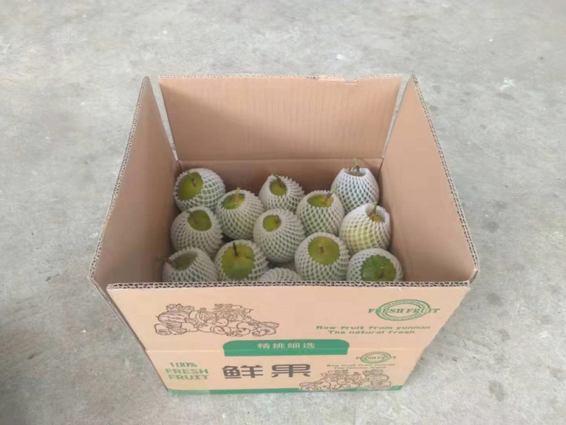 大量黄金果