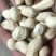 海花原味干炒精选熟花生河北主产区沙土花生