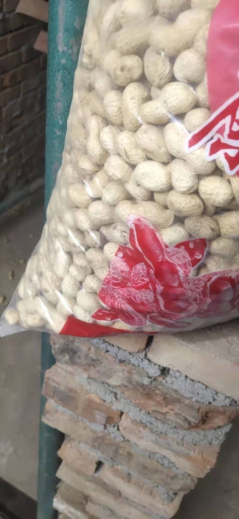 海花原味干炒精选熟花生河北主产区沙土花生
