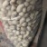海花原味干炒精选熟花生河北主产区沙土花生