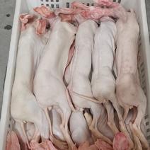 大量供应盐城大丰自产各种规格冷鲜带皮兔肉