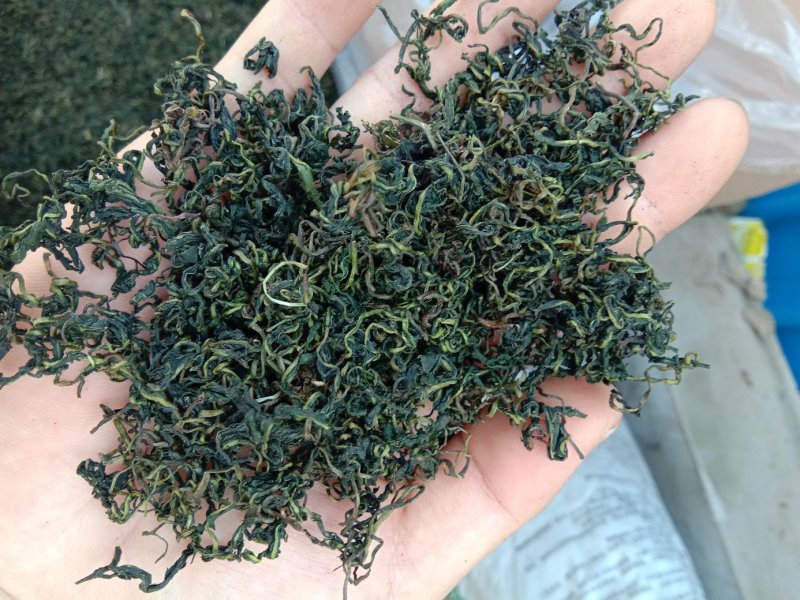 蒲公英茶
