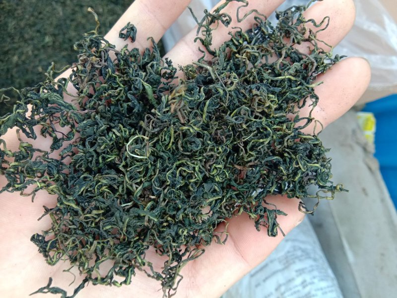 蒲公英茶