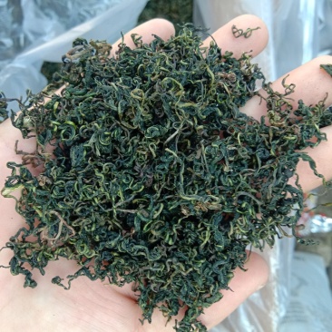 蒲公英茶