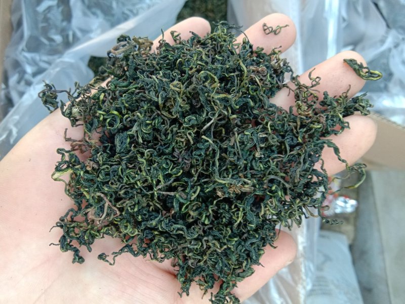 蒲公英茶