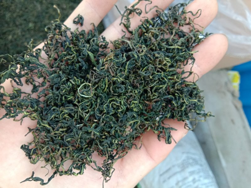 蒲公英茶