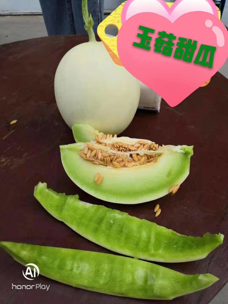 山东网纹甜瓜产地一手货源无中间商差价包装小工齐全