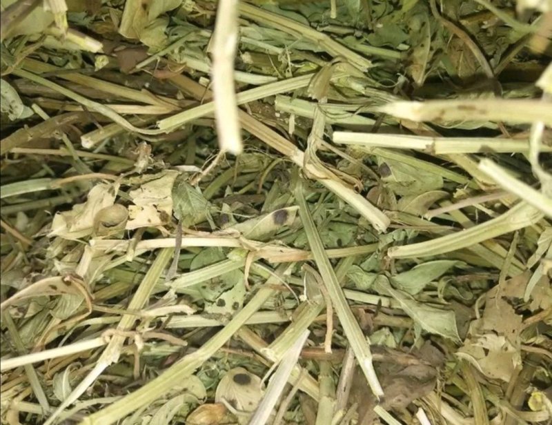 花生秧花生糠无地膜