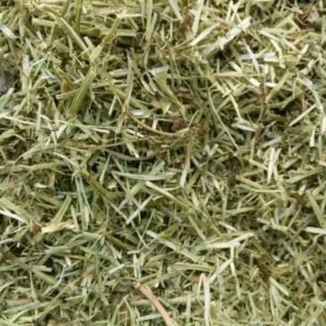 花生秧花生糠无地膜