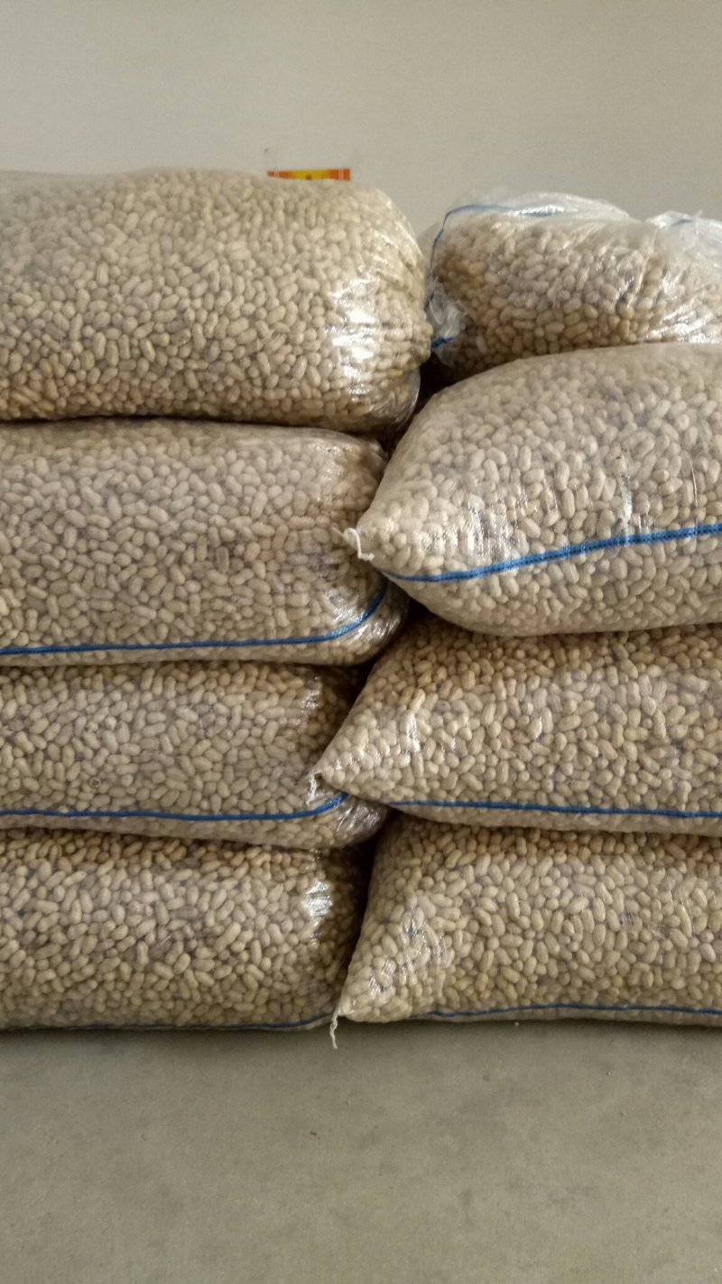 花生精选罗汉果白沙带壳干果榨油炒花生果专用出油率高