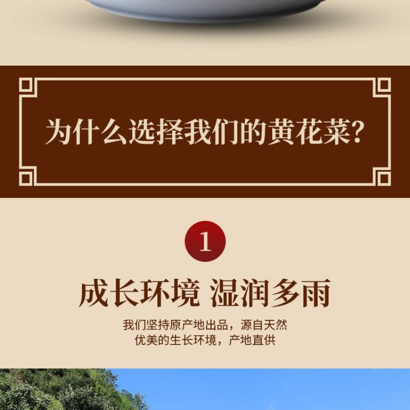 2025年新菜上市全干无琉农家自制土特产干黄花菜承接各大