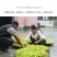2025年新菜上市全干无琉农家自制土特产干黄花菜承接各大