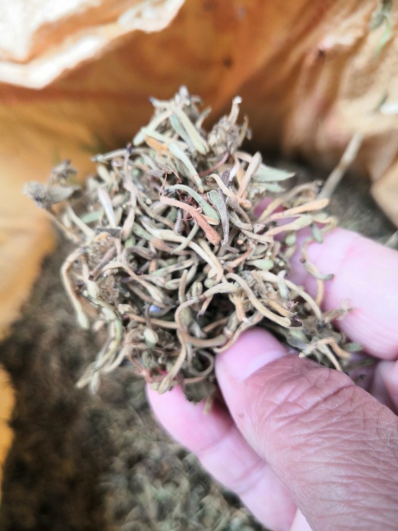 金银花贵州花带毛统货花
