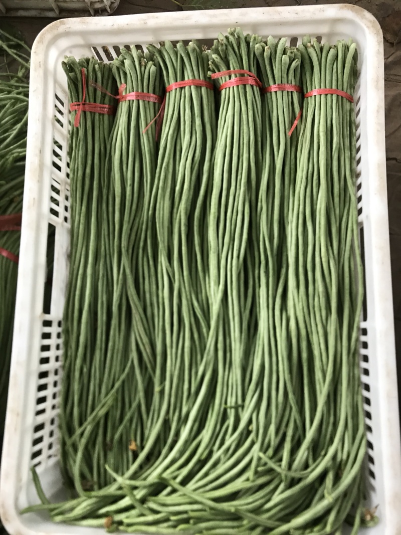 精品长豆角
