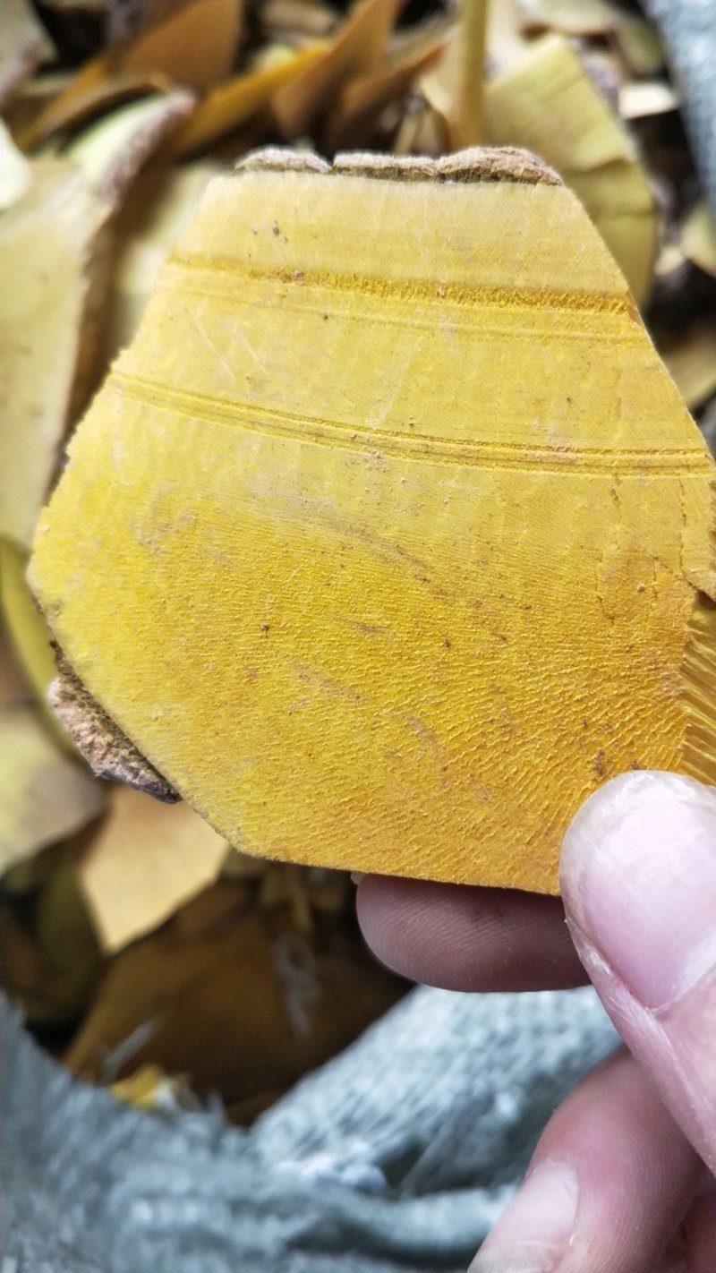 十大功劳木不满意可以退货。如有得罪请多包涵