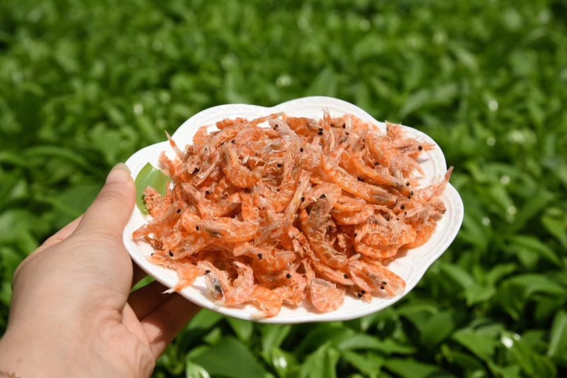 虾皮，红虾皮，软壳虾皮南鳞虾皮