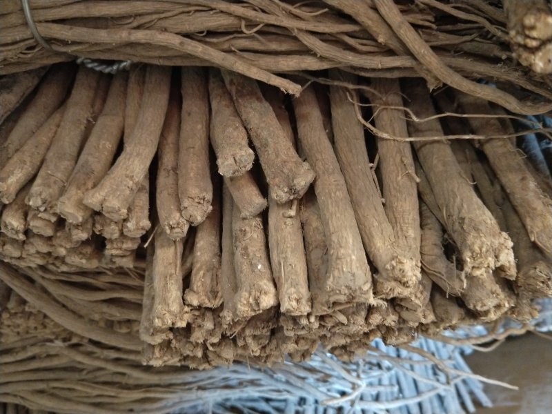 黄芪条甘肃产地批发零售，货源充足