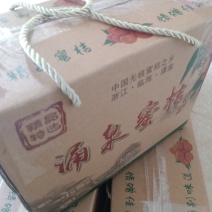 柑桔蜜桔大丰宫川口感好品质保障精选包装。