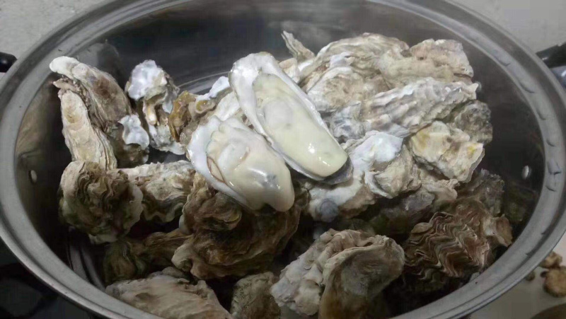 新鲜生蚝牡蛎鲜活发货