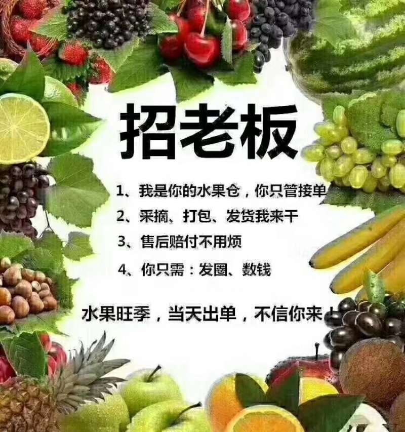 蜂蜜，正宗秦岭山土蜂蜜