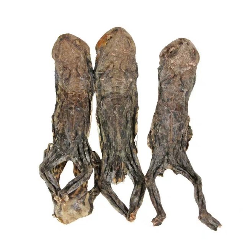 药用蟾蜍，道地药材，质优价实，品质保证，药典标准一公斤起
