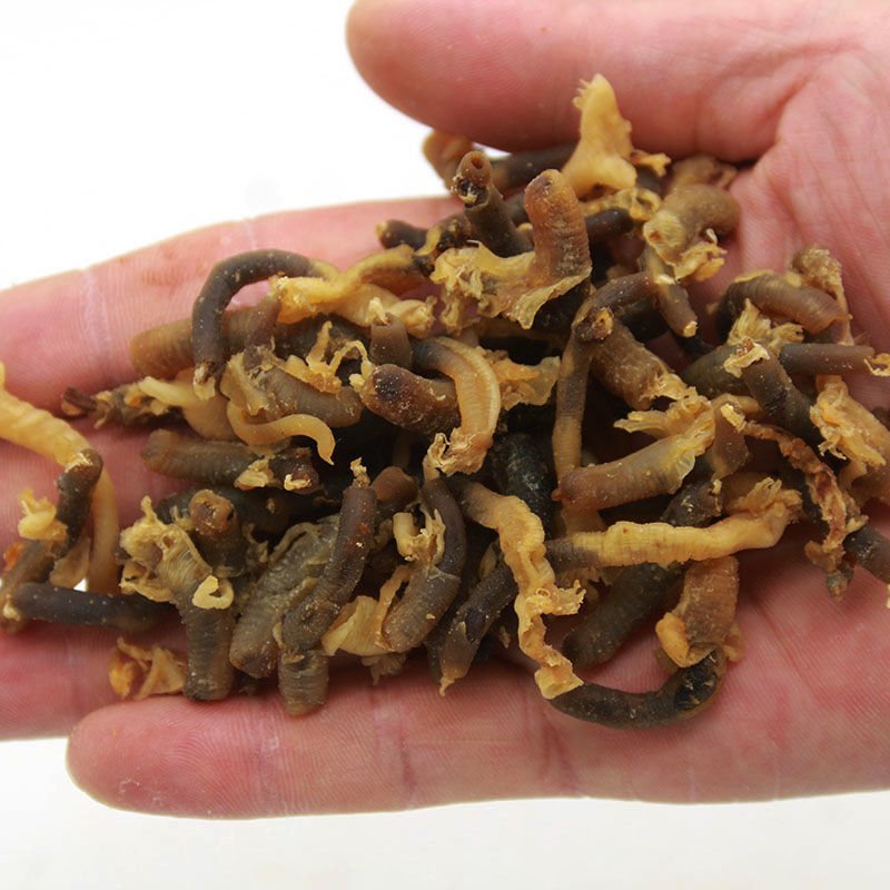 药用海螺，道地药材，质优价实，品质保证，药典标准一公斤起